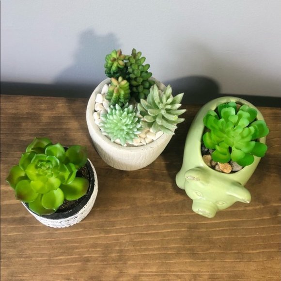 Faux succulents 3 - Picture 1 of 5